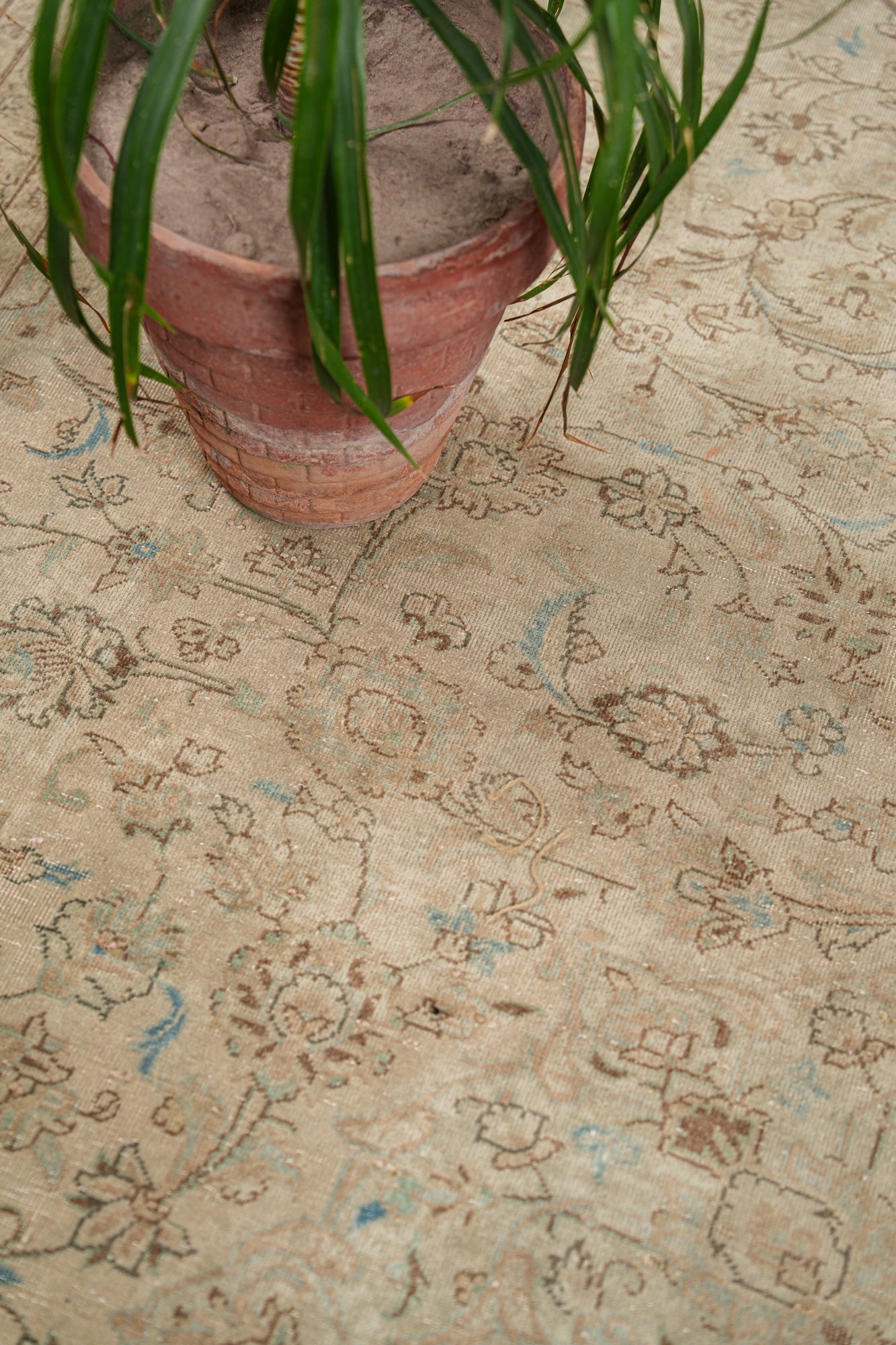 FLORA 12'1" x 9'3"