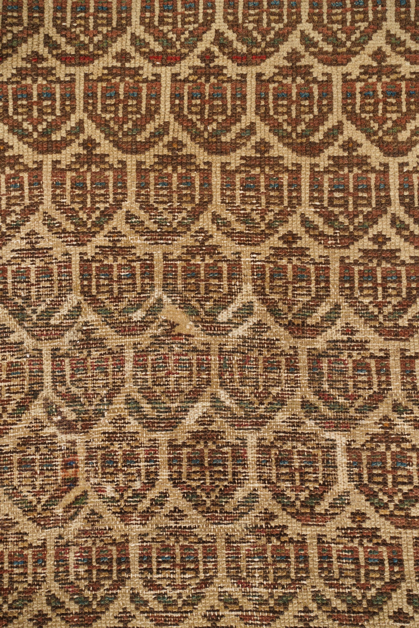 Grace 2'10" x 2'2"