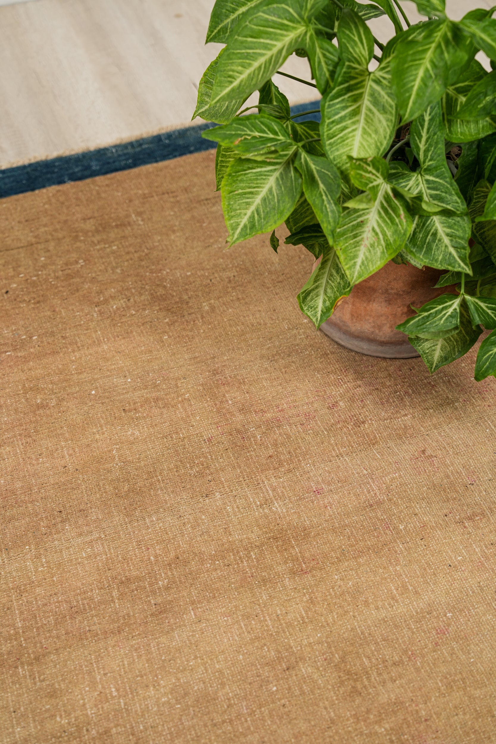 VINTAGE Afghan GABBAH RUG 5'2" x 3'10"