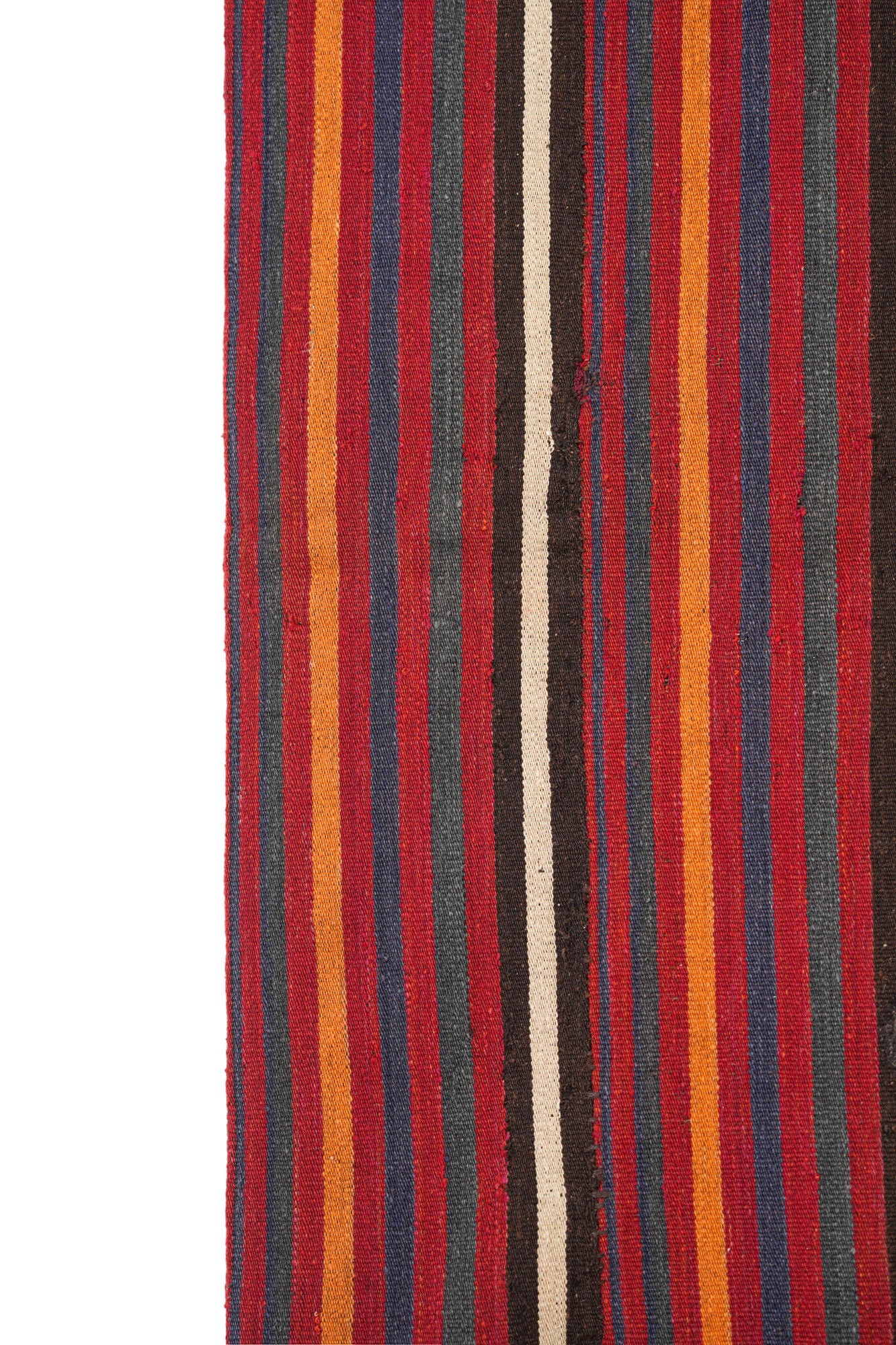 CORA 6'2" x 4'