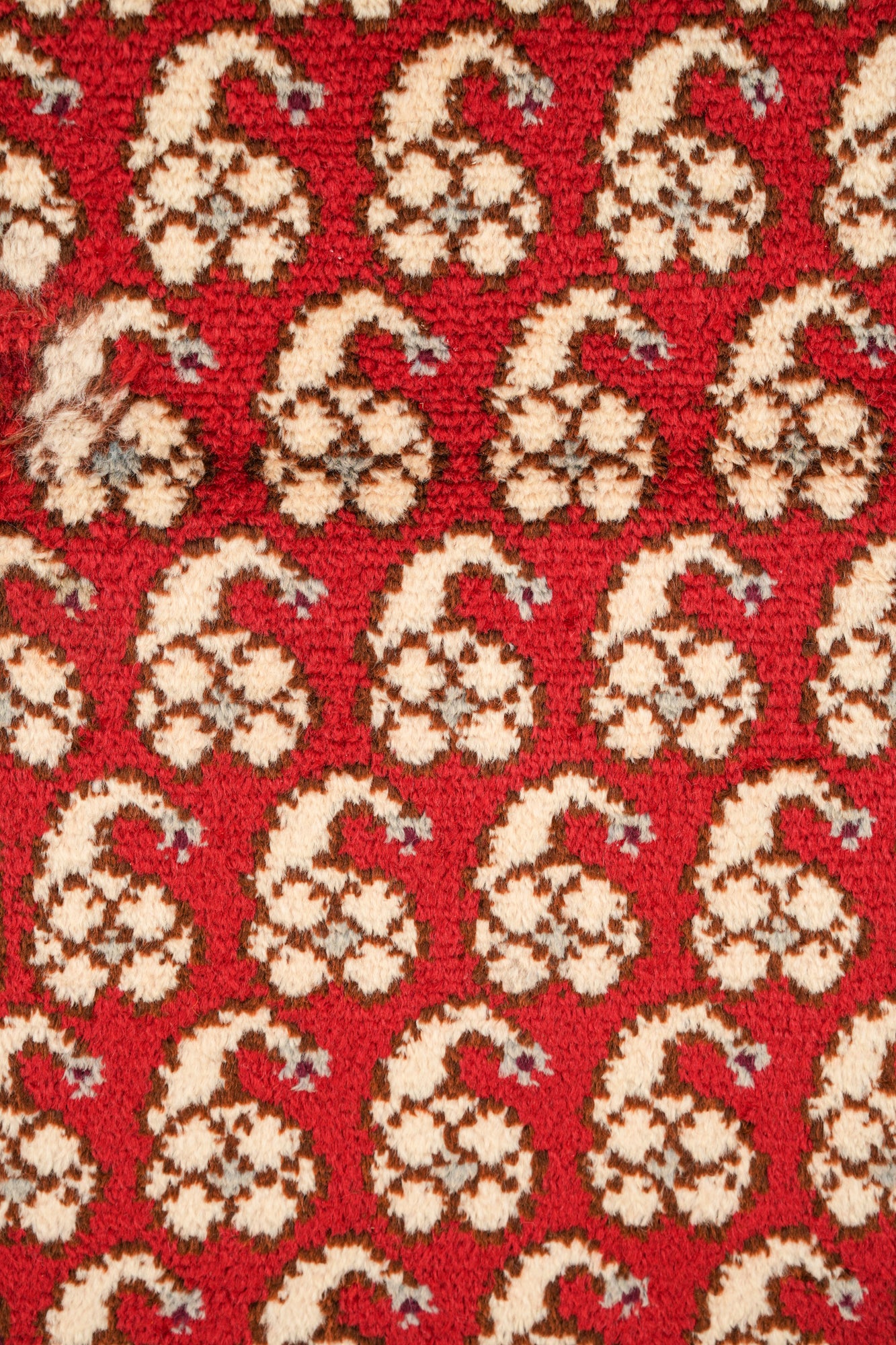Vintage Moroccan Rug 5'4"x 2'10"
