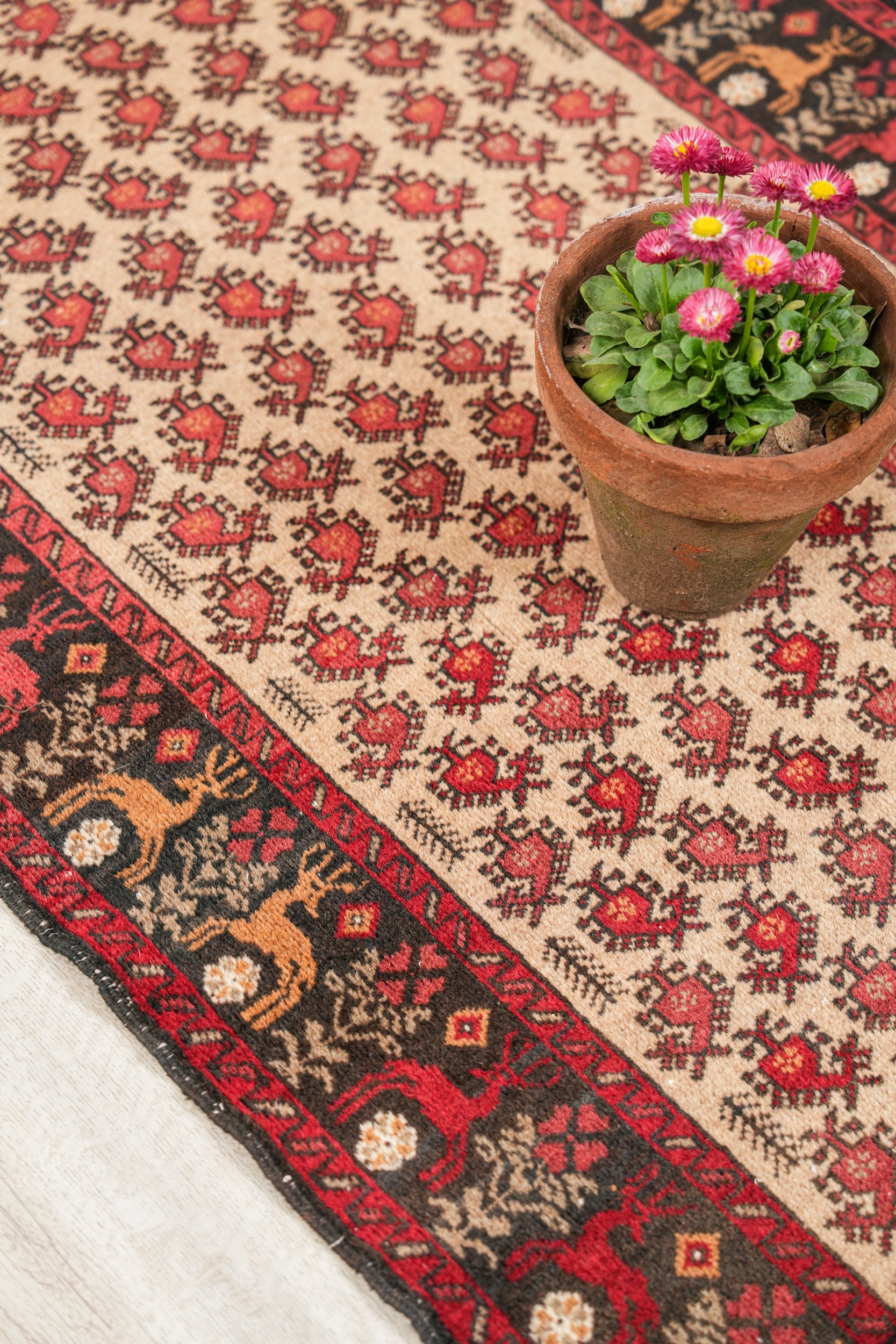 Vintage Baloch Rug 5'2" x 3'2"