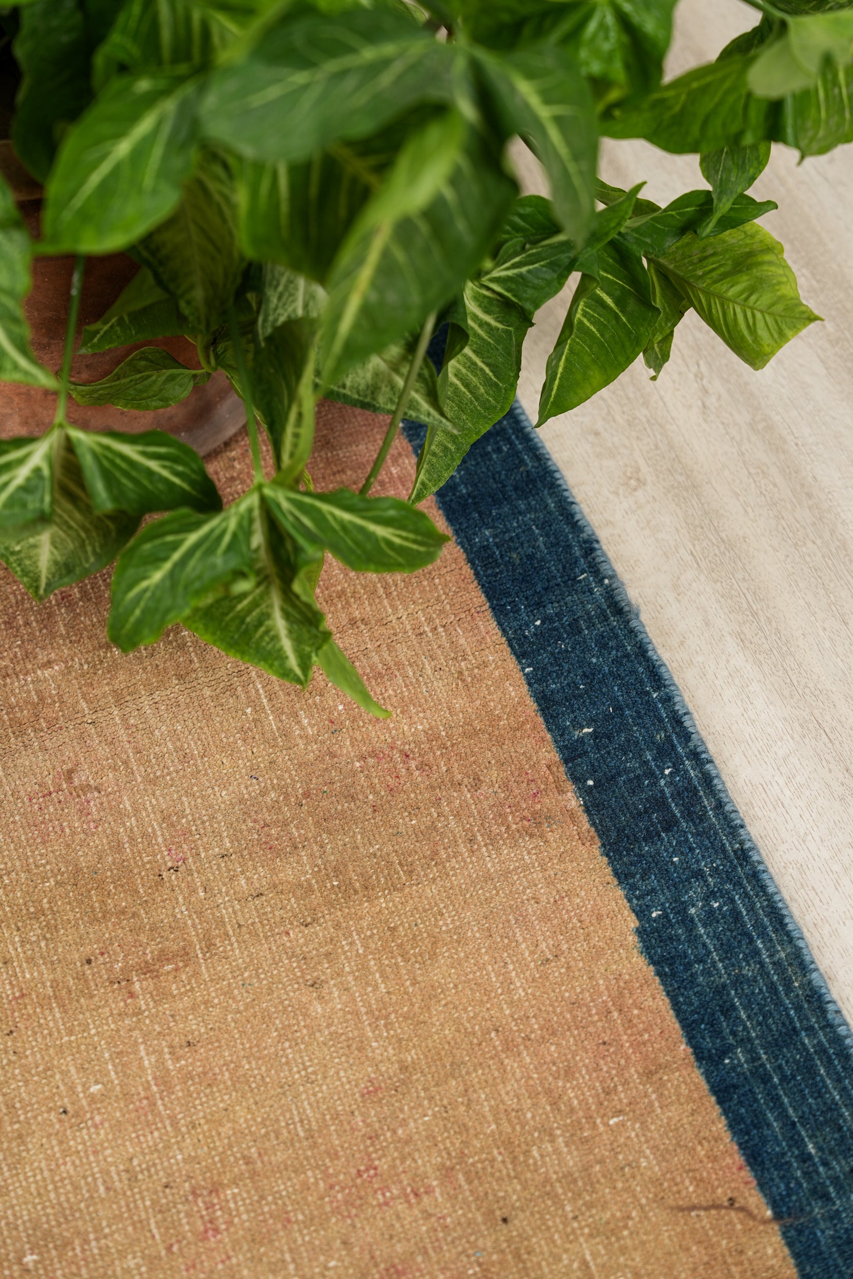 VINTAGE Afghan GABBAH RUG 5'2" x 3'10"