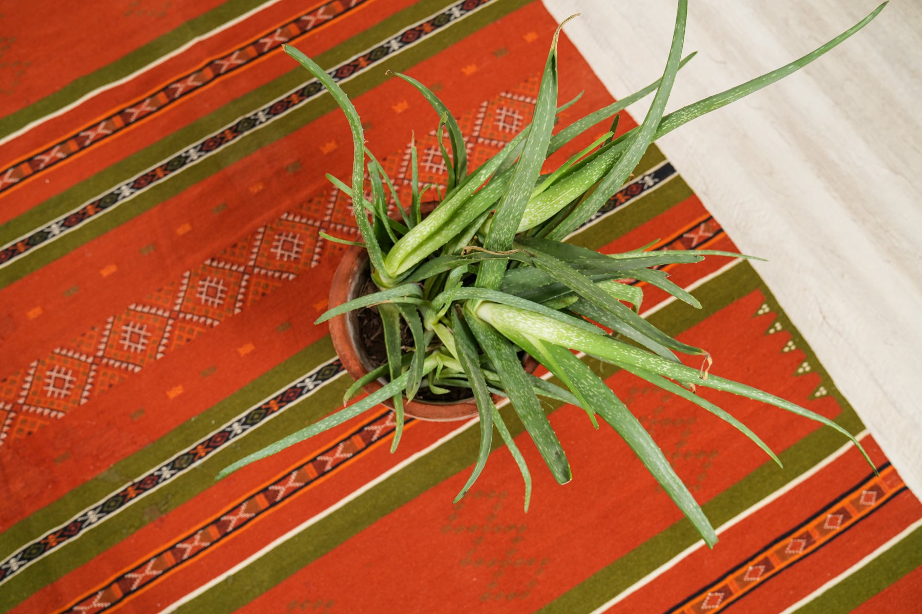 VINTAGE TUNISIAN KILIM 9'4" x 6'9"