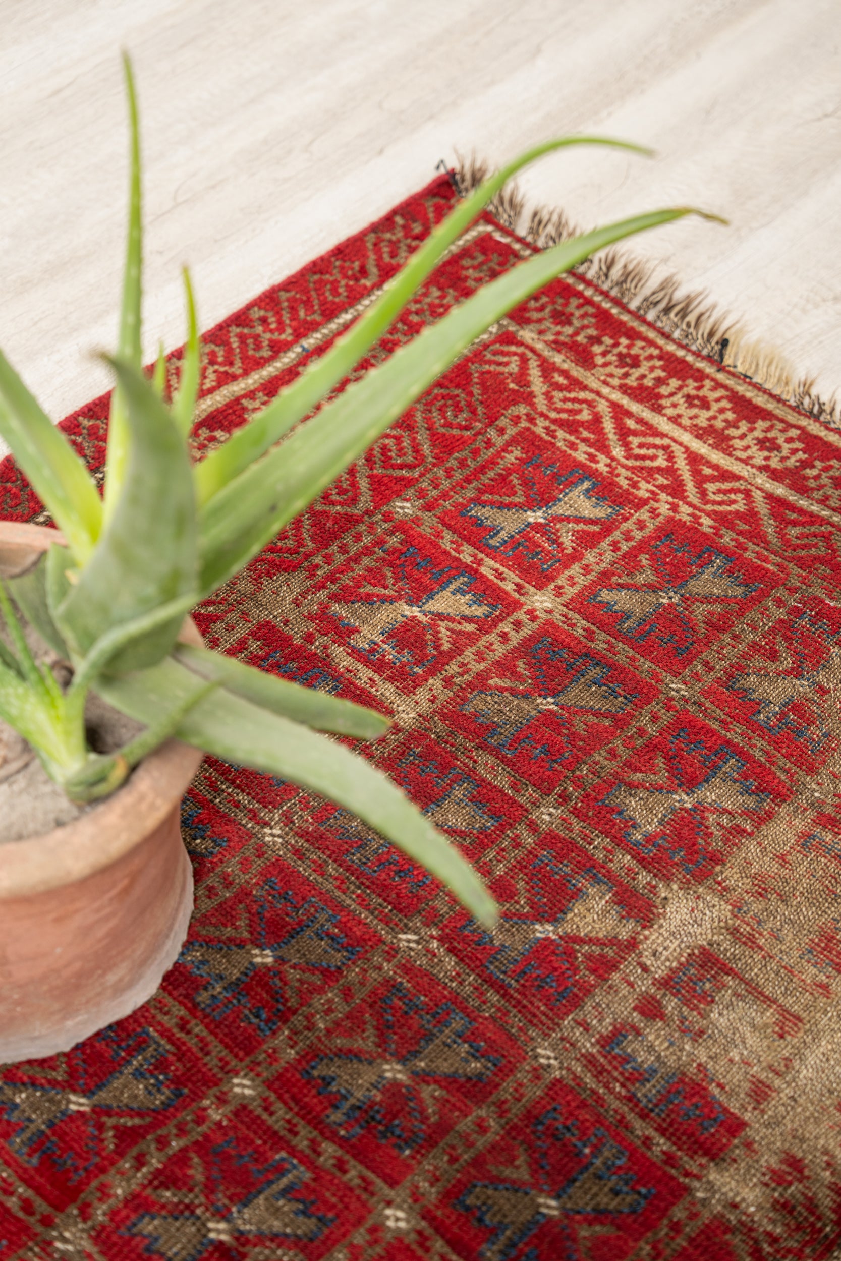 Vintage Baloch Prayer Rug 4'4" x 3'2"
